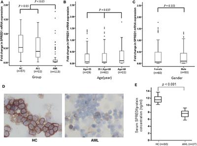 SPRED1 Is Downregulated and a Prognostic Biomarker in Adult Acute Myeloid Leukemia